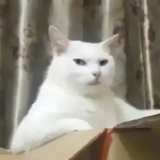 瑄崽的吐槽星球