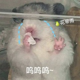 爻三