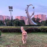 陈老狮
