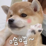 豆友1812475617