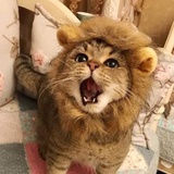 天猪哟^_^
