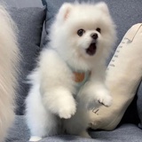 想不到有趣的ID