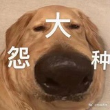 A樱