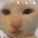 我笑了