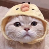 长年找互相监督