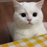 Wwwww