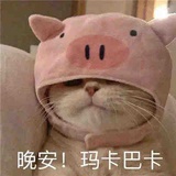向是方向的向