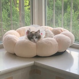 费母后的猫