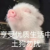 制杖回收
