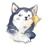 殇