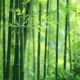 greenspread