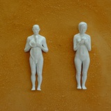 pranesi