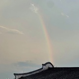 应真呢