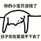 一只猫嗷嗷嗷