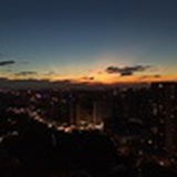 高大華