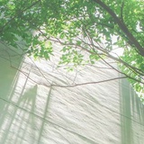 Zhiyu0719