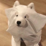 挂件(凉皮版)