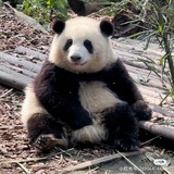 炸鸡块超好吃