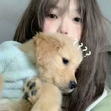 北辰