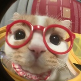 一条鱼的世界Oo