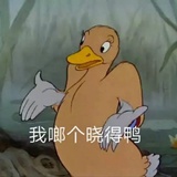 陪你捱到新天地