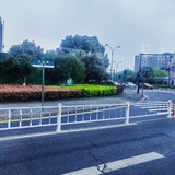 番茄无酱