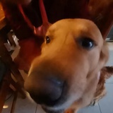 豆友mrb9R2DdDQ