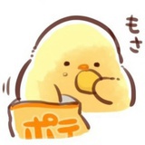 noki