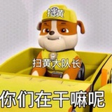 红茶拿铁机能炮