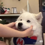 早點睡覺