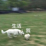 灰原哀我老婆