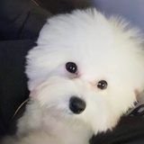 豆友7189693271