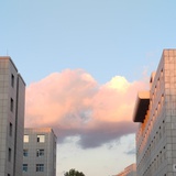 企鹅