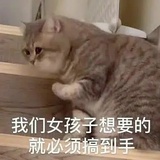 想要小狸和小橘