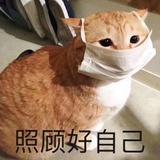 hello