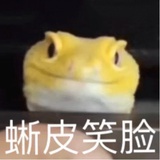 没有鱼有大头