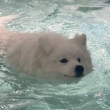 豆友