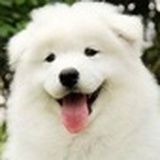 路边一石头