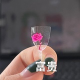 豆友XGY星星