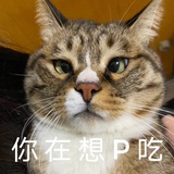 困困困困困