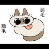 可爱猪汤姆