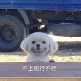 早起是不可能的