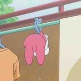小临要上岸