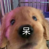 元宝