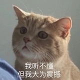 豆友253877352