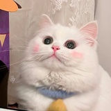 酸妹