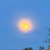 熏