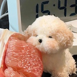 哈哈哈哈