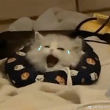 ddd