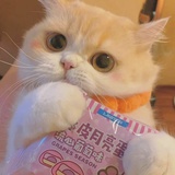 吃不吃不吃盐